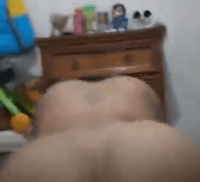 Gordita teniendo Sexo Casero